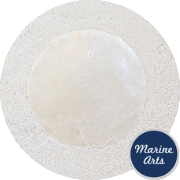 8550-P8 - Capiz Disc - Natural 65mm - Craft Pack